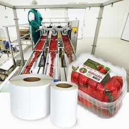 Food Label Printing